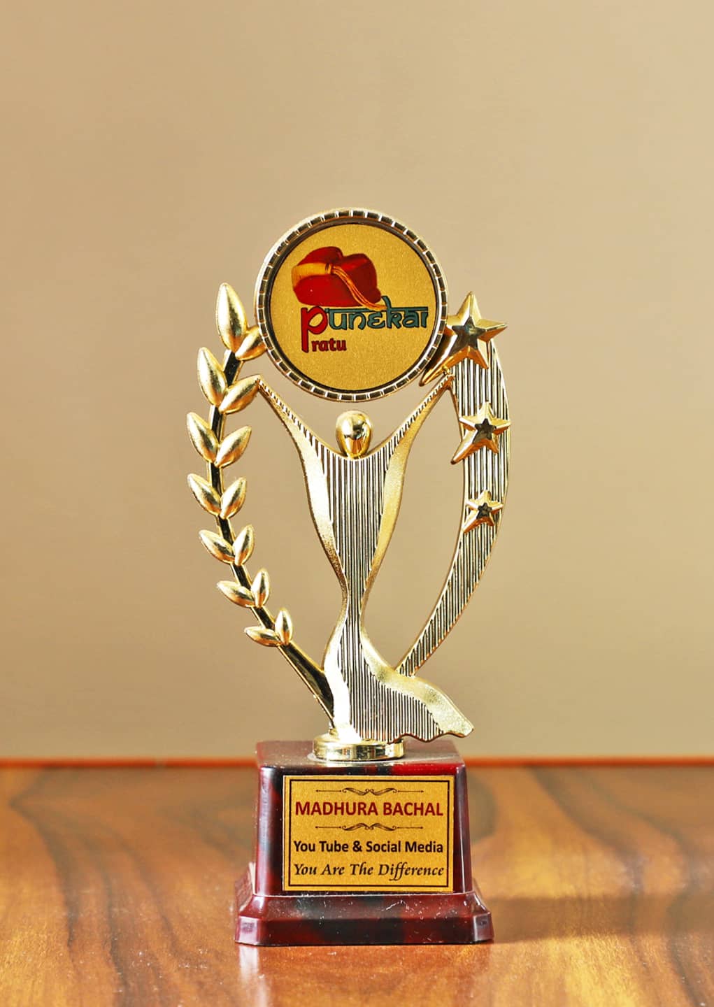 Youtube and Social Media Award By Punekar Ratu 2020